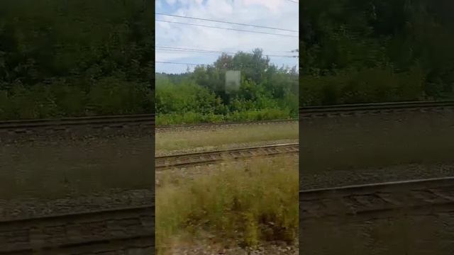 едем на поезде едем на поезде на железной дороге смотрим поезда
