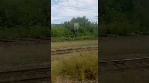 едем на поезде едем на поезде на железной дороге смотрим поезда
