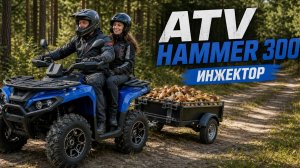 ATV HAMMER 300, Инжектор.