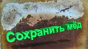 Длительное хранение мёда: как сохранить качество на годы? Отвечает профессор Кашковский 🍯⏳