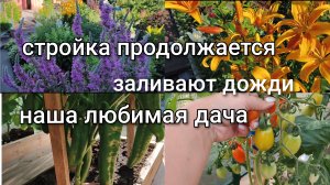 Дожди заливают/Продолжаем стройку/Работы много/Обзор участка/Наша дача.