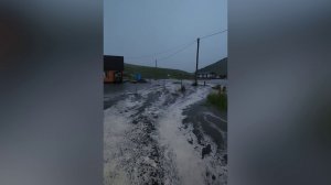 СТИХИЯ ИЛИ АНТРОПОГЕННЫЙ ФАКТОР?