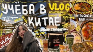 Учеба в Китае  переехала, пары, о личном, много еды , встречи с друзьями  влог