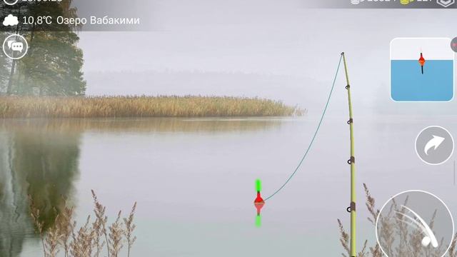 Поймай  за 10 минут в My Fishing World