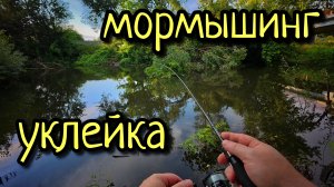 МОРМЫШИНГ ПОСЛЕ УРАГАНА, УКЛЕЙКА НА СПИННИНГ !!! НЕ ВЕРЬТЕ БЛОГЕРАМ, ВЕЗДЕ РЕКЛАМА !!!