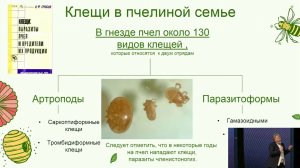 Тропилелапсоз: новая угроза пасекам. Профилактика и лечение от доктора Брандорф 🐝🕷️