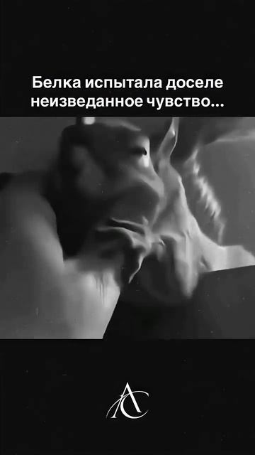 Как это мило 🥹