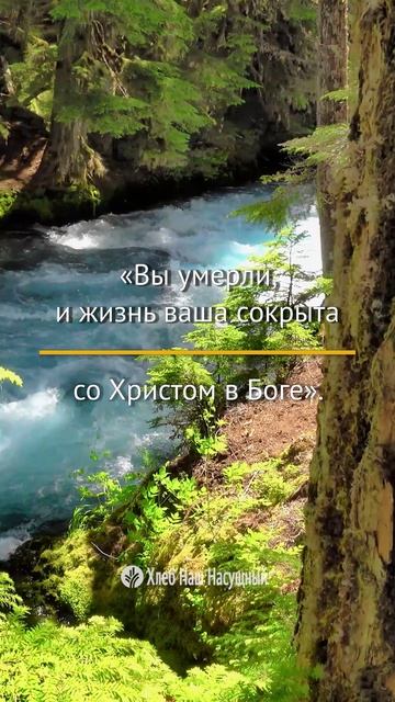 Вы умерли... | Божье Слово для вас