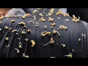 Басем Халед в эфире!