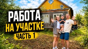 ВОССТАНАВЛИВАЕМ ДАЧУ\РАБОТА НА УЧАСТКЕ/ ЧАСТЬ 1