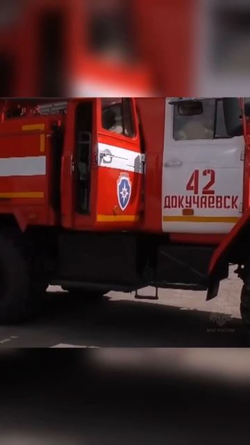 Мужество в крови