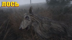 ЛОСЬ (152) | СТАЛКЕР НАРОДНАЯ СОЛЯНКА OGSR 2026