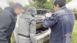 Ирина Волк: В Ивановской области полицейские задержали подозреваемых в кражах автомобилей