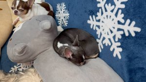 Доброго всем вечера и самой спокойной ночи!