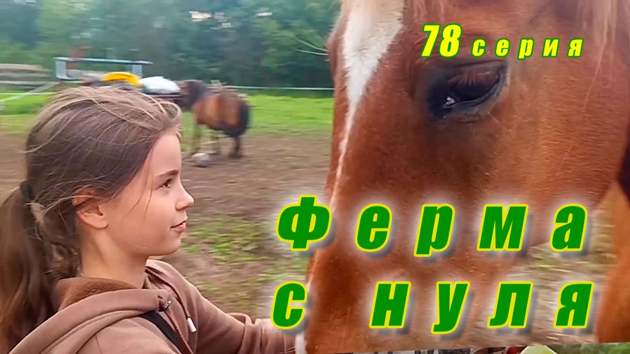Аттракцион на ферме / Поход, разведка новых мест / Большая уборка у Троллей /  Ферма с нуля 78