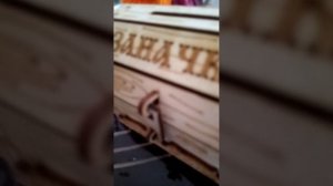Animal hospital аномалии в реальной жизни часть 2