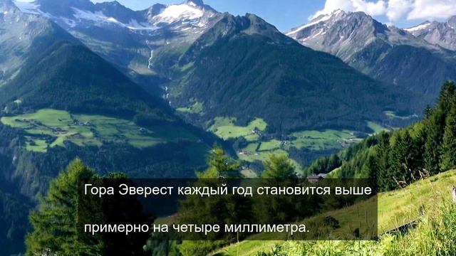 запреты игр 2