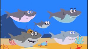 Я акула 🦈 ⭐ песня