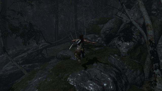 Tomb Raider (2013) #3
