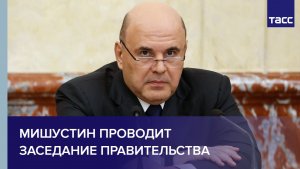 Мишустин проводит заседание правительства