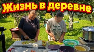 🍃 Наша неспешная жизнь в новгородской деревне 🌿 Огород, заготовки и тихие летние дни