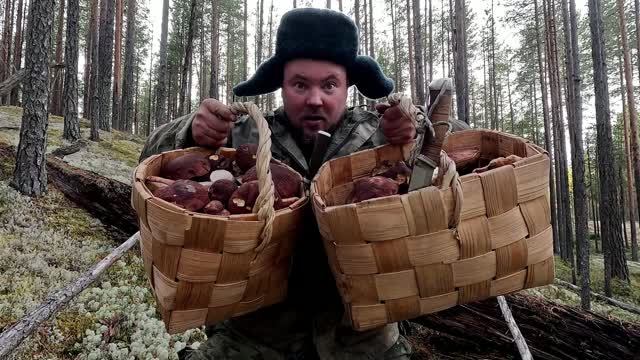 ВЗЯЛ КРАСАВИЦУ В ЛЕС И НАЧАЛОСЬ. СБОР ГРИБОВ С ДЕВУШКОЙ. СОБИРАЕМ БОРОВИКИ