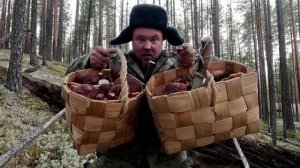 ВЗЯЛ КРАСАВИЦУ В ЛЕС И НАЧАЛОСЬ. СБОР ГРИБОВ С ДЕВУШКОЙ. СОБИРАЕМ БОРОВИКИ