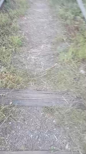 ходим по заброшаной дороге 🚸