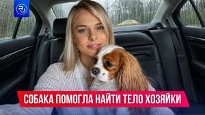 Собака помогла найти тело пропавшей хозяйки
