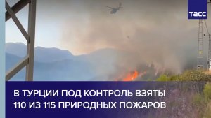 В Турции под контроль взяты 110 из 115 природных пожаров