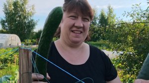 Дела на огороде 👨🌾 ОГОРОД БЬЕТ РЕКОРДЫ! Бешеный сбор урожая-2026 🥒🎃🍇