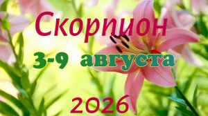 Скорпион♏Таро-прогноз на неделю с 3 по 9 августа 🕊️