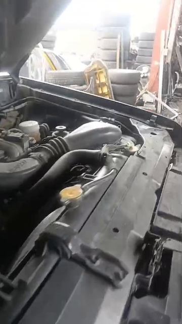 5547.mp4