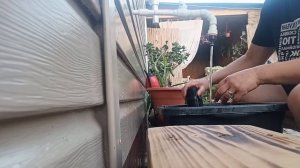 Наш самодельный фильтр для пруда