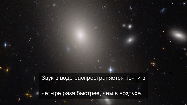 особенное погружение 4