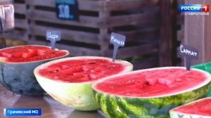 Пик сладости. Ставропольские арбузы поспели и уже радуют вкусом