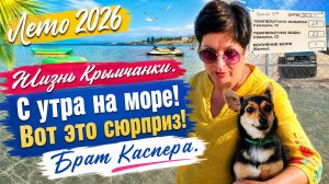Сезон 2026. Крым. Черноморское. Обстановка‼️ Я в шоке!