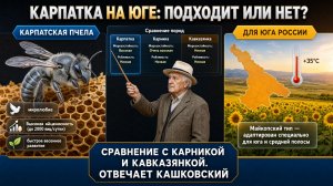 Карпатская пчела для юга России: подходит ли и с чем сравнить? Отвечает профессор Кашковский 🐝🌿
