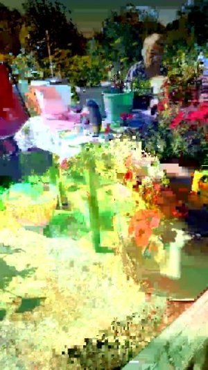 на пикник