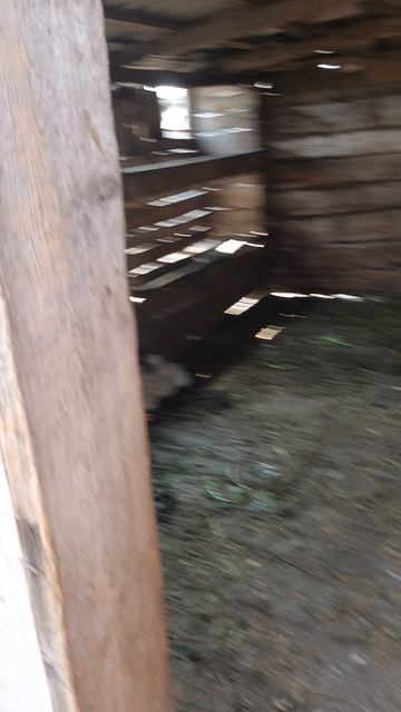 бассейн для гусят и утят
