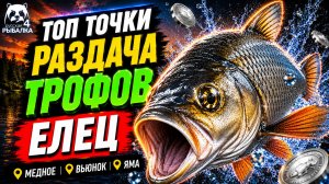 🤑 ТОП-3 ТОЧКИ ФАРМА и РАЗДАЧИ ТРОФОВ РР4 (30.07)! СВОДКА по ВОДОЕМАМ! МЕДНОЕ • ВЬЮНОК • ЯМА