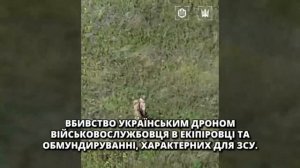 Украинские источники -видео уничтожения украинских солдат заградотрядами пытающихся сдаться в плен