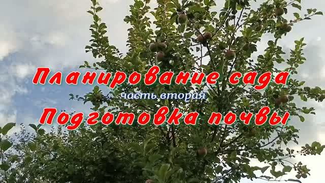 Планирование сада. часть вторая. подготовка почвы