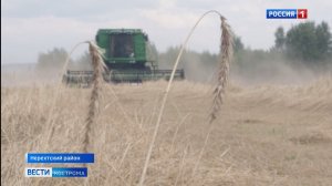 Аграрии Костромского и Нерехтского районов приступили к жатве