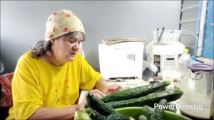 Погода дождливая, занимаюсь заготовками.