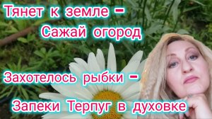 Огород посреди города! Я мечусь в поисках рыбы! Запекла в духовке Терпуг! Пальчики оближешь!