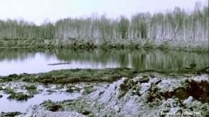 1986 год. Тюменский район. Стихийная свалка