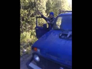 Профессиональный Водила Professional Driver