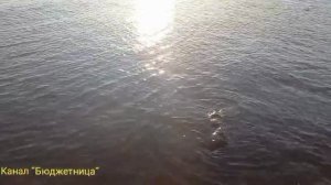 Шум воды. Белый шум. ASMR 😊