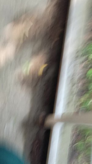 страшно очень страшно ааааааа